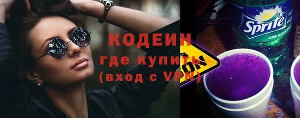 ПСИЛОЦИБИНОВЫЕ ГРИБЫ Арсеньев