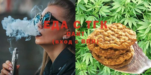 индика Балахна