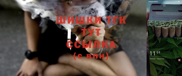 индика Балахна