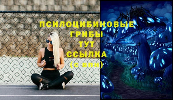 индика Балахна