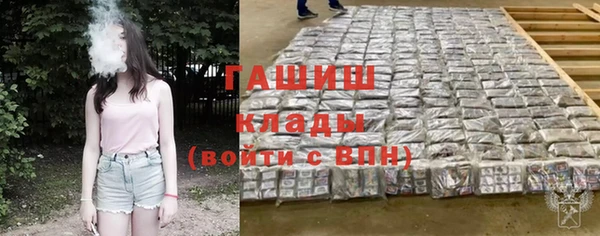 ПСИЛОЦИБИНОВЫЕ ГРИБЫ Арсеньев
