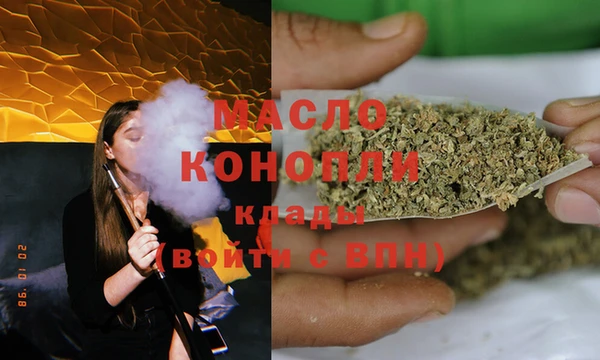 индика Балахна