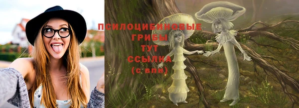 индика Балахна
