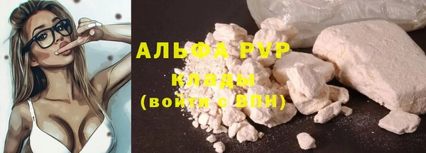 индика Балахна