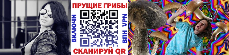 где купить   Болгар  Галлюциногенные грибы GOLDEN TEACHER 